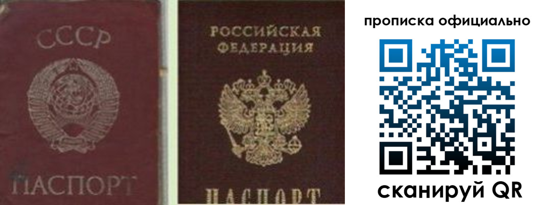прописка гарантия в Краснодаре
